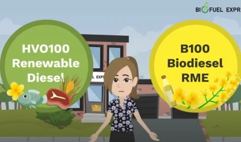 HVO vs. B100